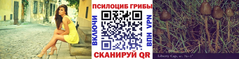 Псилоцибиновые грибы Psilocybine cubensis  что такое наркотик  shop официальный сайт  Волгоград 