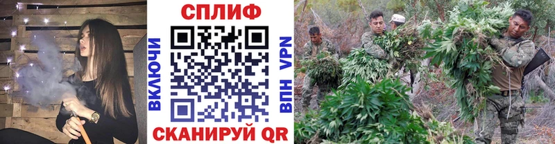 Канабис Amnesia  Волгоград 